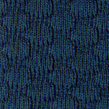 visual-tcbb-blue.jpg